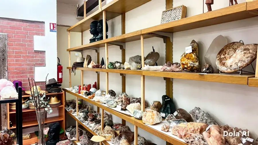 Nos showrooms à La Réunion