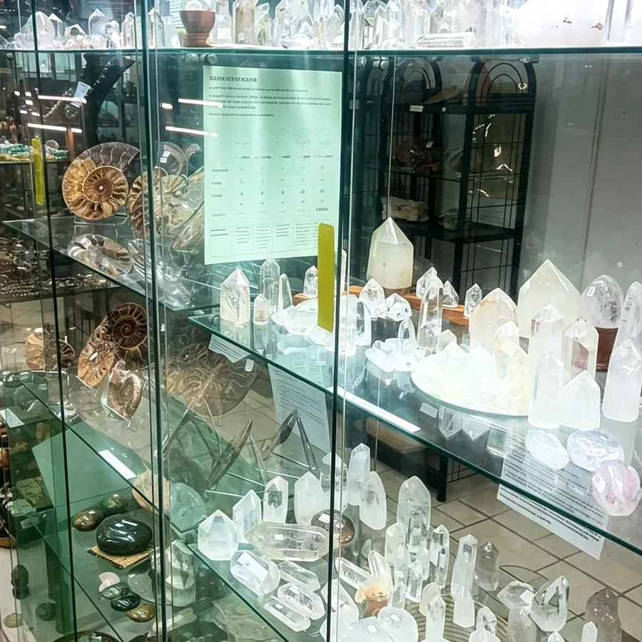 Fossile
