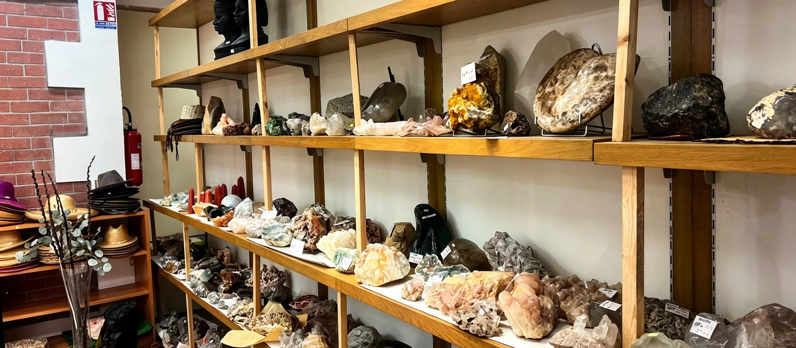 Notre collection