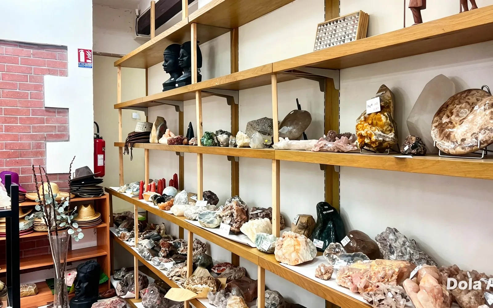 Vitrines de cristaux et de géodes dans la boutique